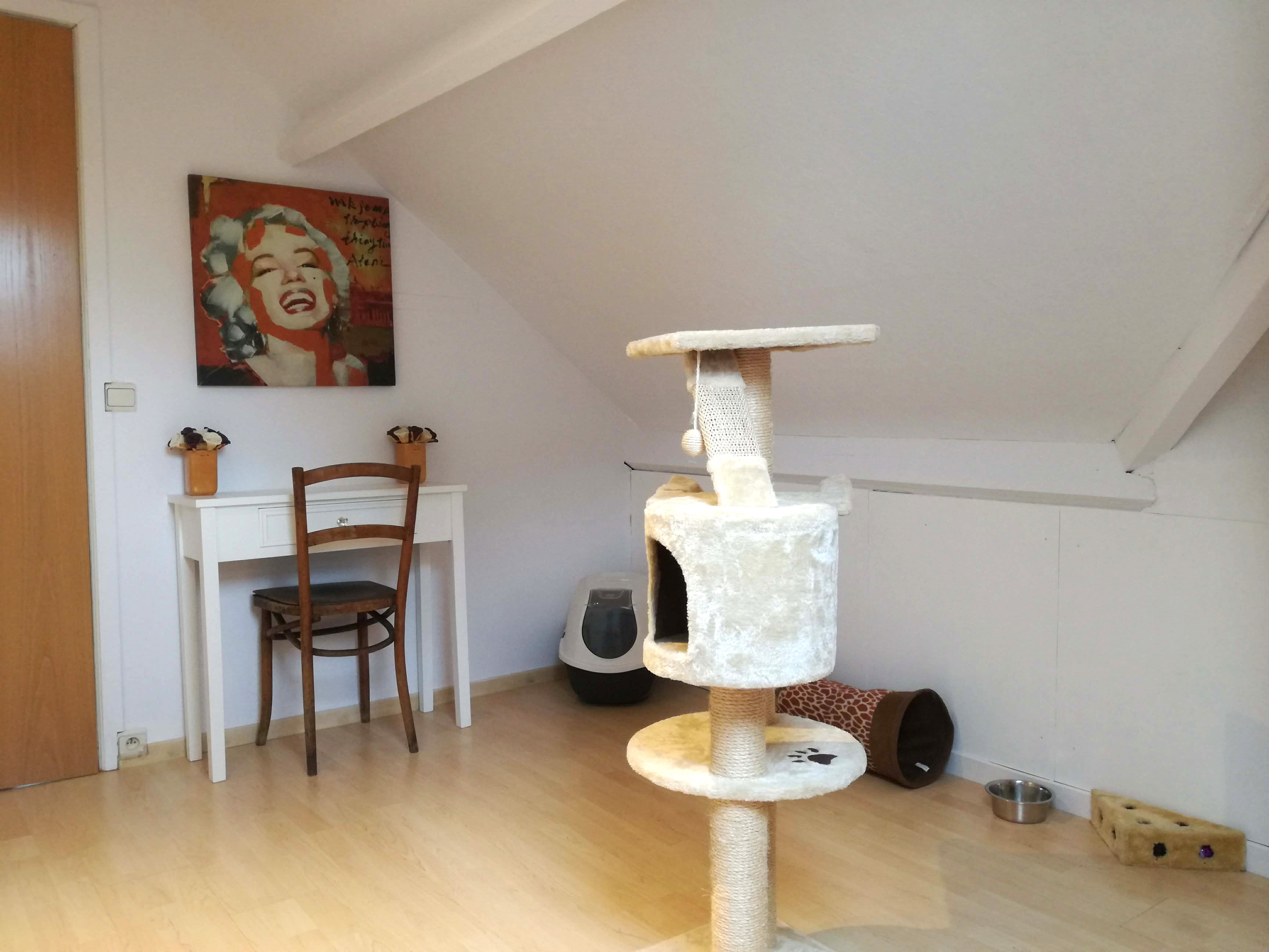 Kattenhotel Oostkamp
