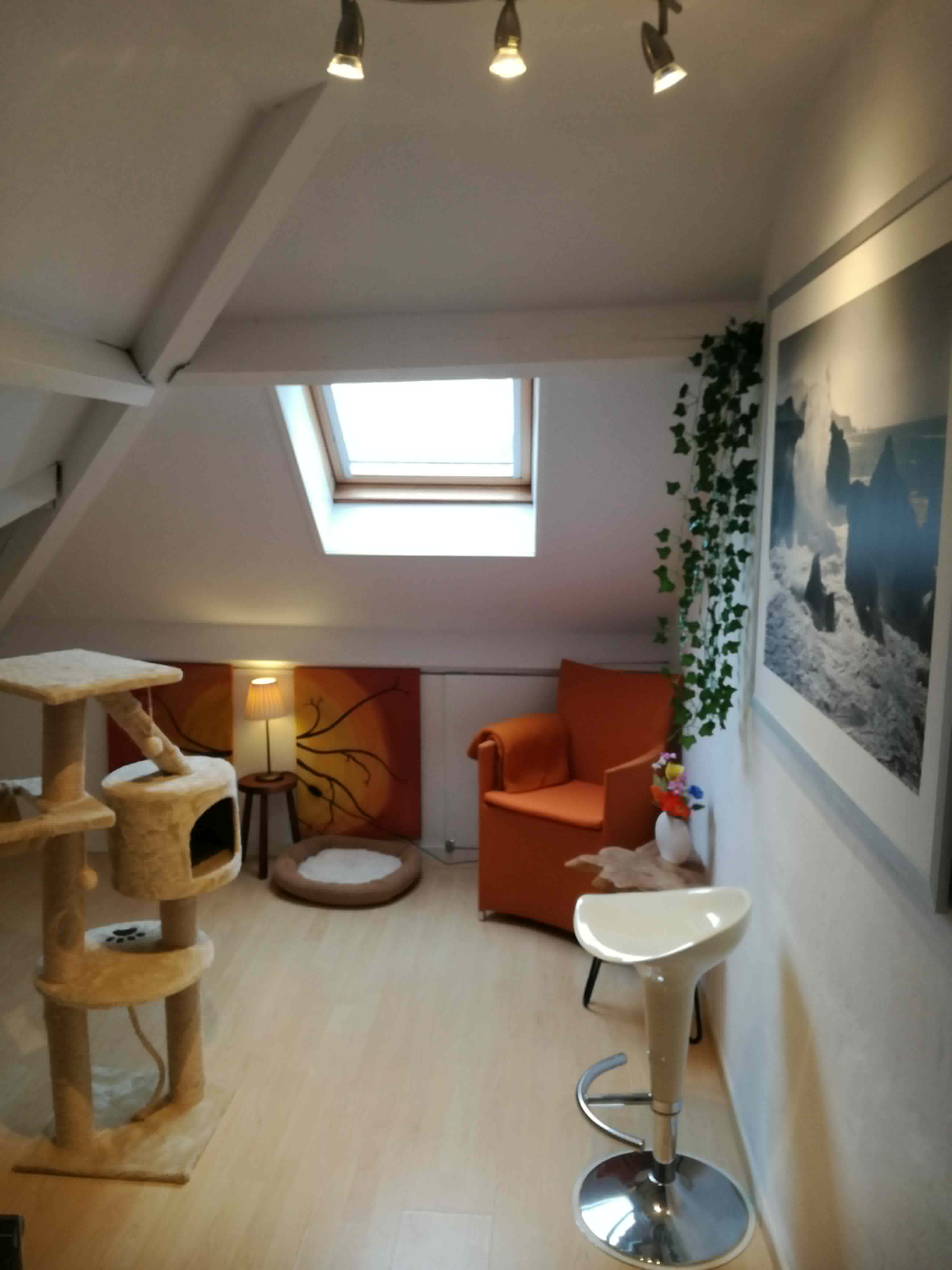 Kattenhotel Oostkamp